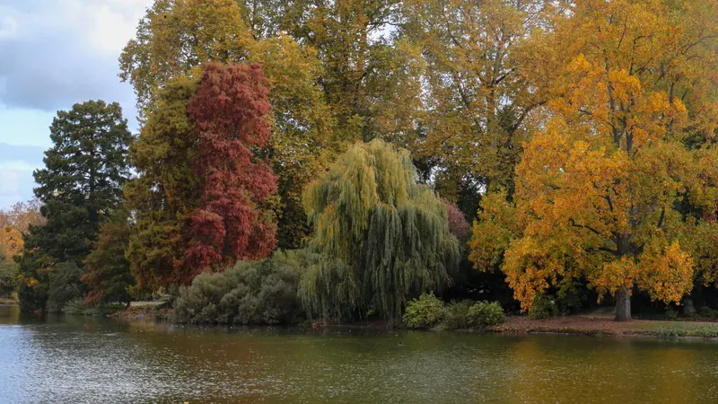 Lac Daumesnil in Bois de Vincennes with autumn trees, Paris